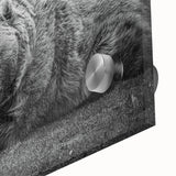 Close-up of a striking black bear wall art piece, featuring intricate details on acrylic glass, ideal for wildlife enthusiasts and modern decor. The design showcases the bear's natural beauty and textures, perfect for adding a touch of nature to any room.