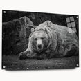 Black bear wall art design displayed in a side view on acrylic glass, showcasing intricate details and vibrant colors, ideal for nature-themed decor.