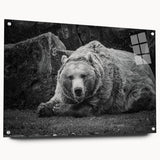 Black bear wall art design displayed in a side view on acrylic glass, showcasing intricate details and vibrant colors, ideal for nature-themed decor.