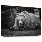 Black bear wall art design displayed in an acrylic frame, showcasing a side view of the artwork with intricate details and vibrant colors, perfect for nature-themed decor.