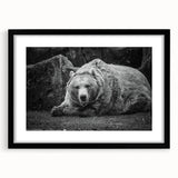 Black bear wall art design in a sleek black frame with a mat, showcasing a detailed illustration of a bear, ideal for nature-themed home decor.