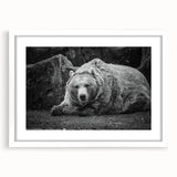 Black bear wall art framed in white matting, showcasing a detailed bear design against a minimalist backdrop, perfect for nature-themed decor and wildlife enthusiasts.