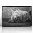 Framed black bear wall art collection featuring a striking acrylic design with intricate details and a modern black frame, perfect for nature enthusiasts and home decor.