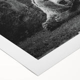 Black bear wall art design on rolled canvas, showcasing intricate detailing and natural colors, perfect for wildlife enthusiasts and modern decor.