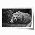 Black bear wall art print showcasing a detailed illustration of a majestic black bear in a natural setting, perfect for wildlife enthusiasts and home decor.