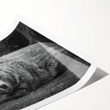 Black bear wall art design featuring intricate details and natural colors, rolled and ready for display. Perfect for nature lovers and home decor enthusiasts.