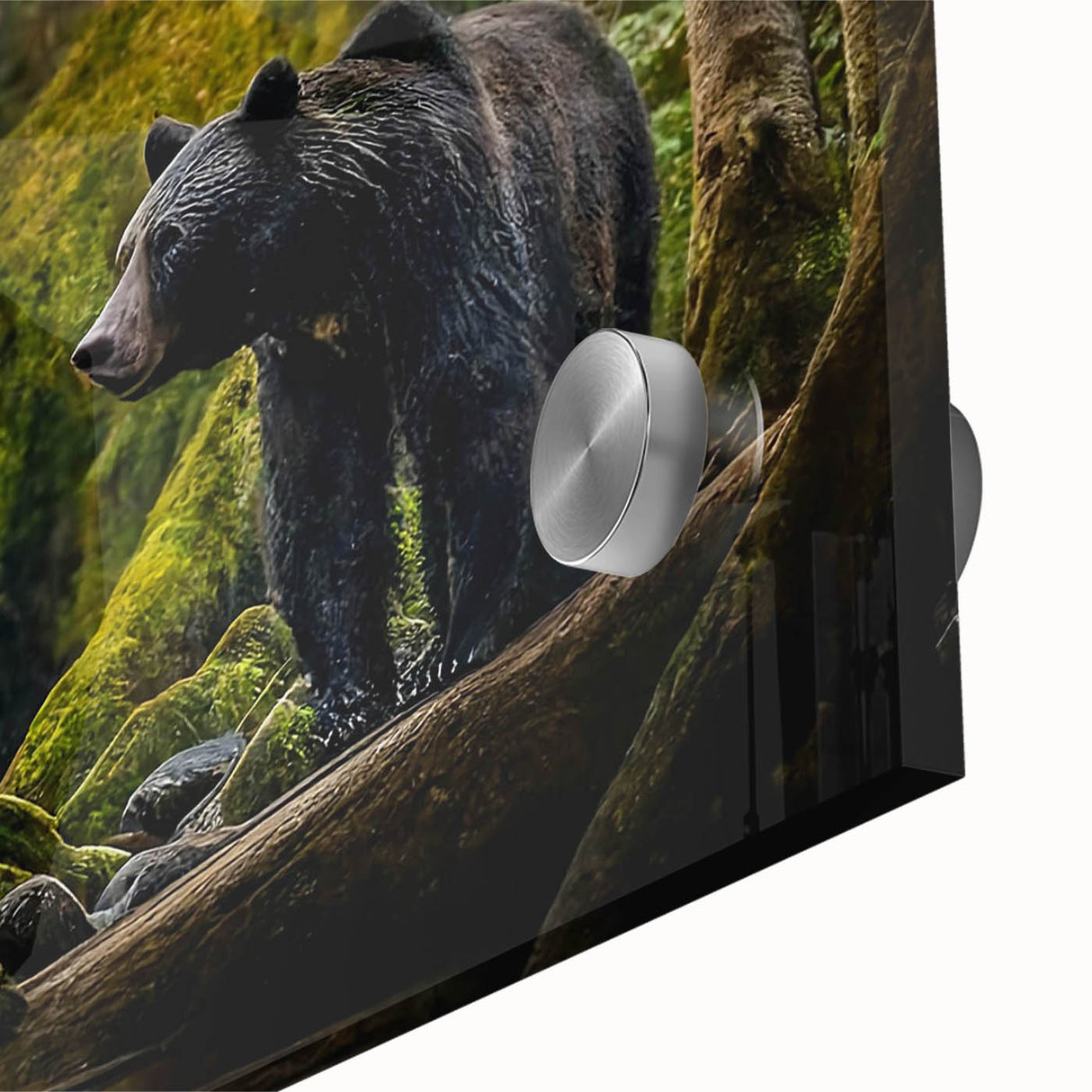 Close-up of a modern black bear wall art piece, showcasing intricate details and vibrant colors, designed for home decor with a nature theme. Ideal for wildlife enthusiasts.