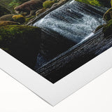 Black bear wall art design on rolled canvas, showcasing a striking wildlife illustration with rich colors and detailed textures, perfect for nature enthusiasts.