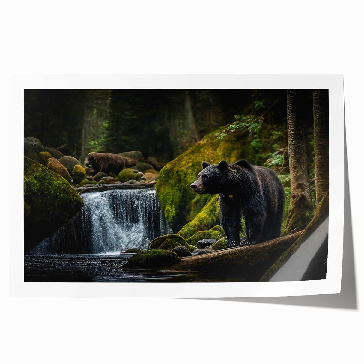 Black bear wall art print featuring intricate design details, showcasing natural textures and vibrant colors, ideal for wildlife enthusiasts and home decor lovers.