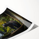 Black bear wall art print showcasing a stunning design with intricate details, rolled up for easy display and shipping, perfect for nature enthusiasts and home decor.