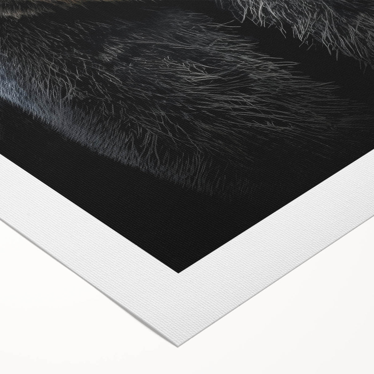 Black bear wall art design on rolled canvas, showcasing intricate details and vibrant colors, perfect for nature enthusiasts and home decor. Packaged securely for safe delivery.