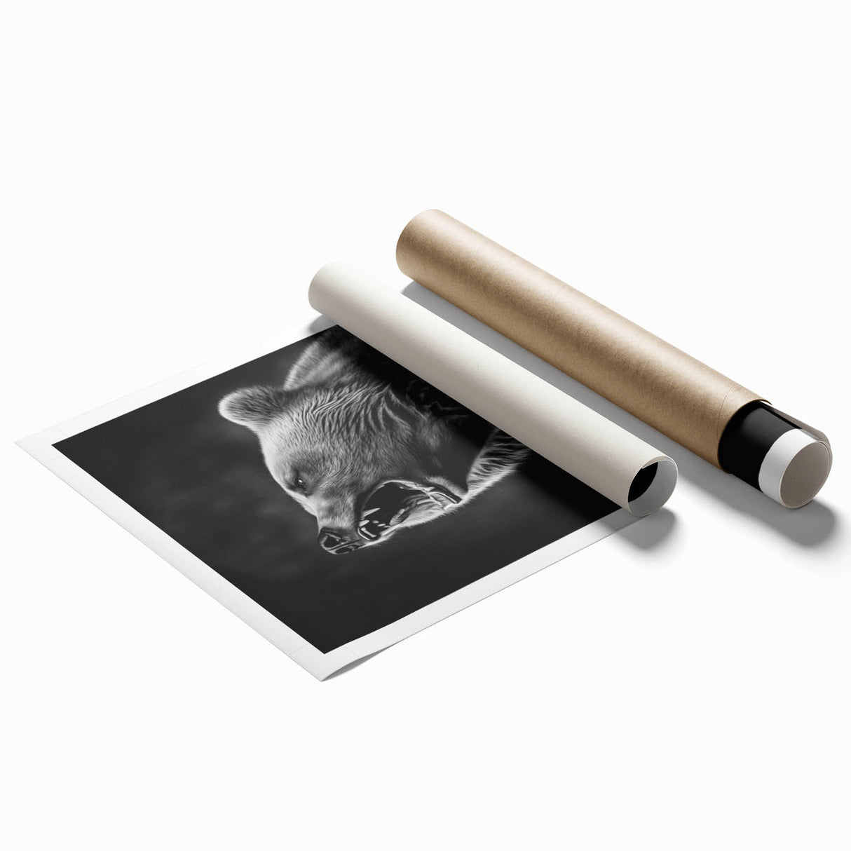 Black bear wall art print showcasing a detailed illustration of a bear in a forest setting, rolled and ready for display. Ideal for nature-themed home decor.