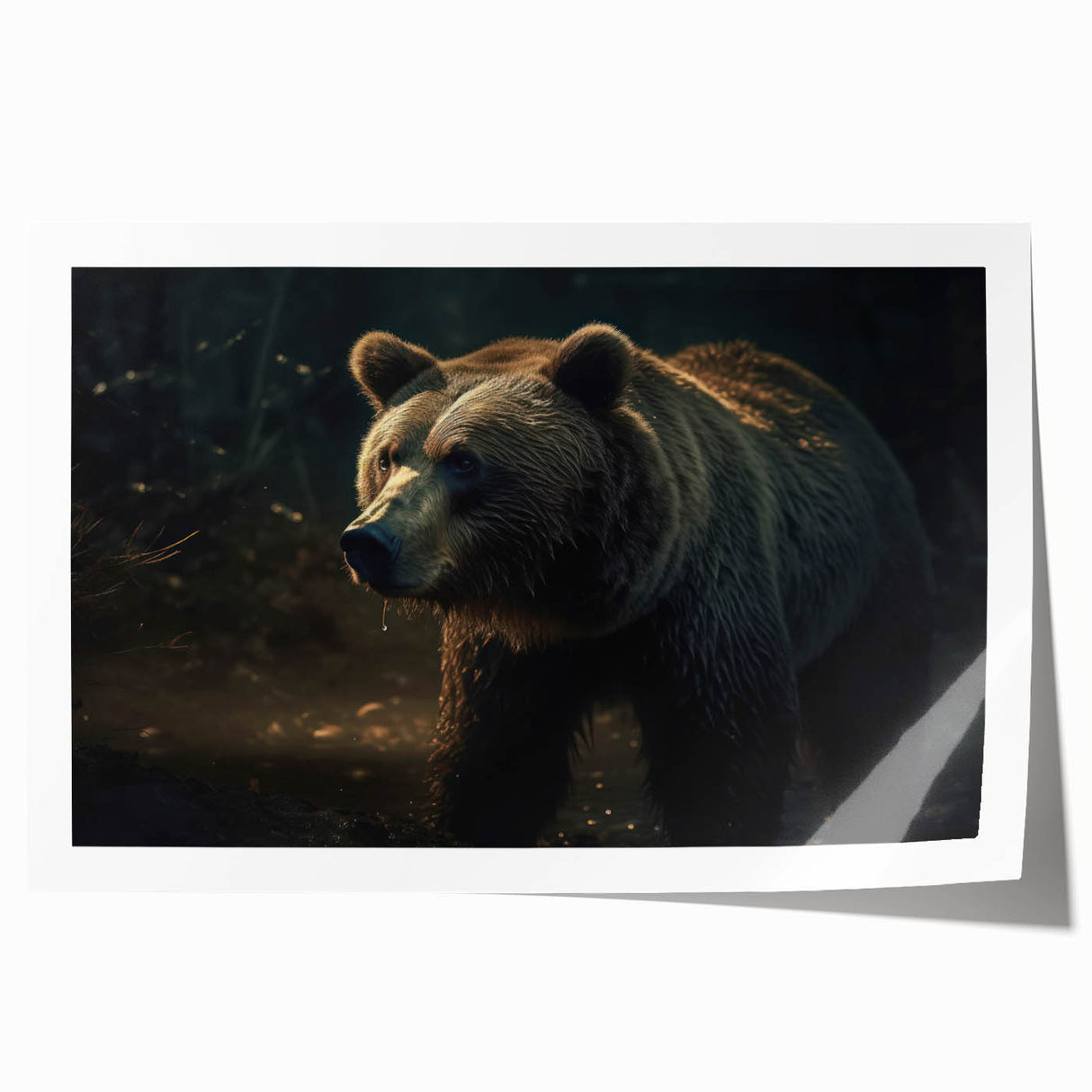 Black bear wall art print showcasing a detailed and artistic depiction of a bear in a natural setting, perfect for wildlife enthusiasts and home decor. The rolled print is designed to enhance any interior space with its striking imagery and vibrant colors.