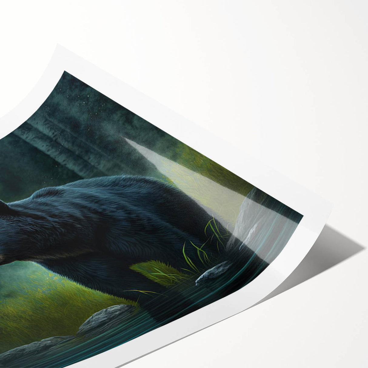 Black bear wall art print showcasing a detailed design with natural colors, rolled for easy display, perfect for wildlife enthusiasts and home decor.