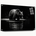 Black bear wall art collection displayed in a sleek acrylic glass frame, showcasing intricate design details and vibrant colors. Perfect for nature lovers’ decor.