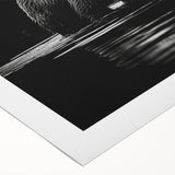 Black bear wall art design on rolled canvas, showcasing intricate details and vibrant colors, ideal for nature enthusiasts and home decor, presented in a protective tube.