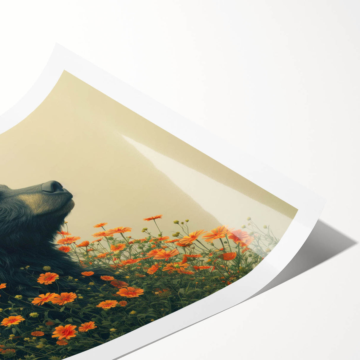 Black bear wall art print showcasing a detailed and vibrant illustration of a bear in a natural forest setting, perfect for wildlife enthusiasts and decor.