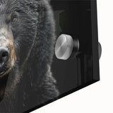 Close-up of a black bear acrylic wall art design, showcasing intricate details and a glossy finish, perfect for adding a nature-inspired touch to home decor.