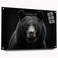 Black bear wall art collection featuring an acrylic glass side view with decorative pins, showcasing intricate bear design, ideal for nature-themed decor.