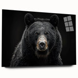 Black bear wall art design displayed side view in acrylic glass frame, showcasing intricate details and vibrant colors in a modern home setting. Perfect for wildlife enthusiasts.