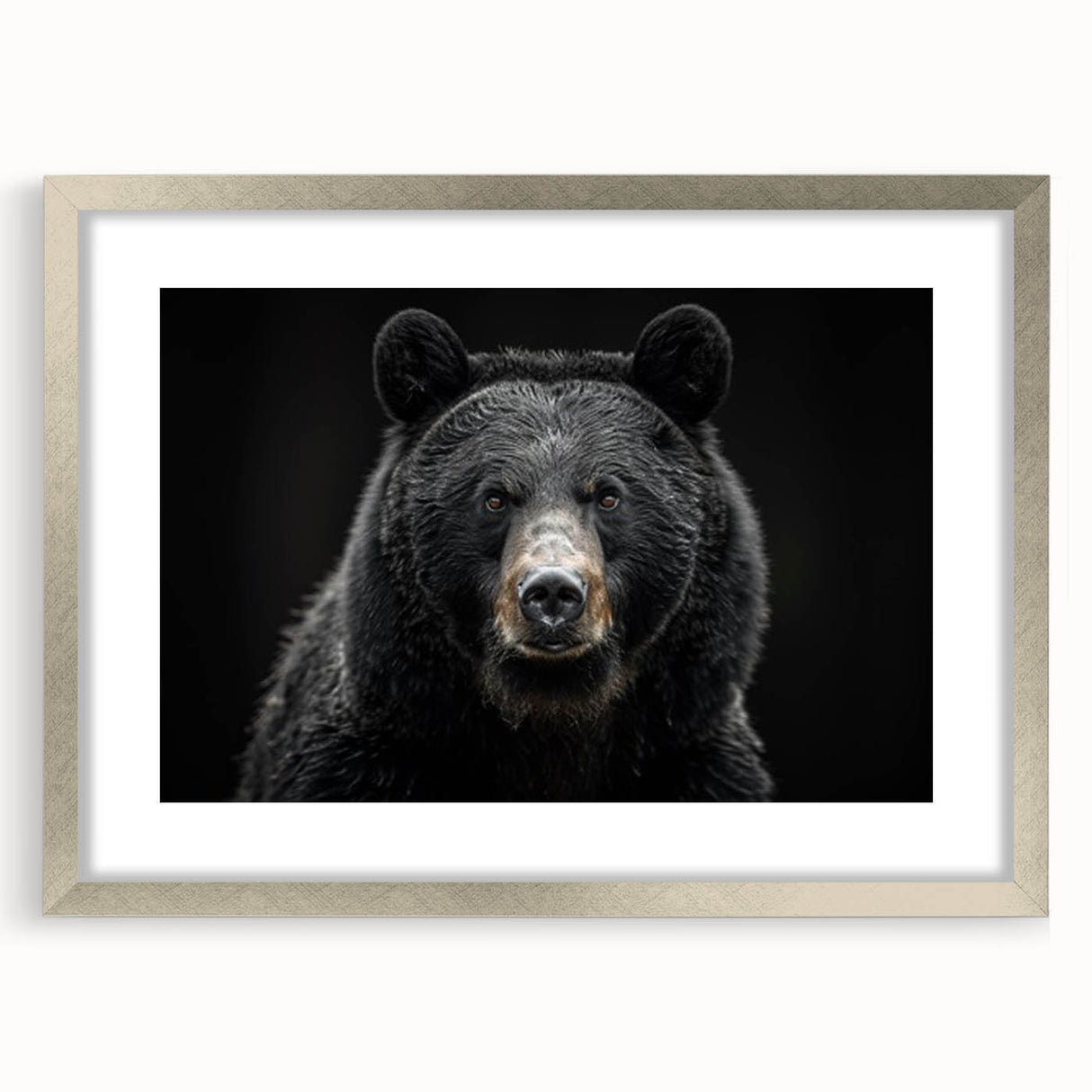 Framed wall art collection featuring a striking black bear design with a silver mat, ideal for nature-themed decor. Perfect for enhancing any living space.