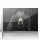 Framed wall art showcasing a black bear design on acrylic, featuring a sleek white frame. The piece adds a nature-inspired touch to home decor.