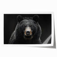 Black bear wall art print showcasing a striking design with intricate details, perfect for nature lovers and modern home decor. Ideal for framing or display.