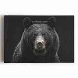 Black bear wall art design on stretched canvas, showcasing a detailed illustration of a black bear in a natural setting, perfect for wildlife enthusiasts.