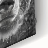 Close-up of a striking black bear wall art design on acrylic glass, showcasing intricate details and vibrant colors, ideal for wildlife-themed decor.