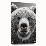 Black bear wall art collection displayed in a sleek acrylic frame, showcasing intricate design details and vibrant colors, ideal for nature enthusiasts.