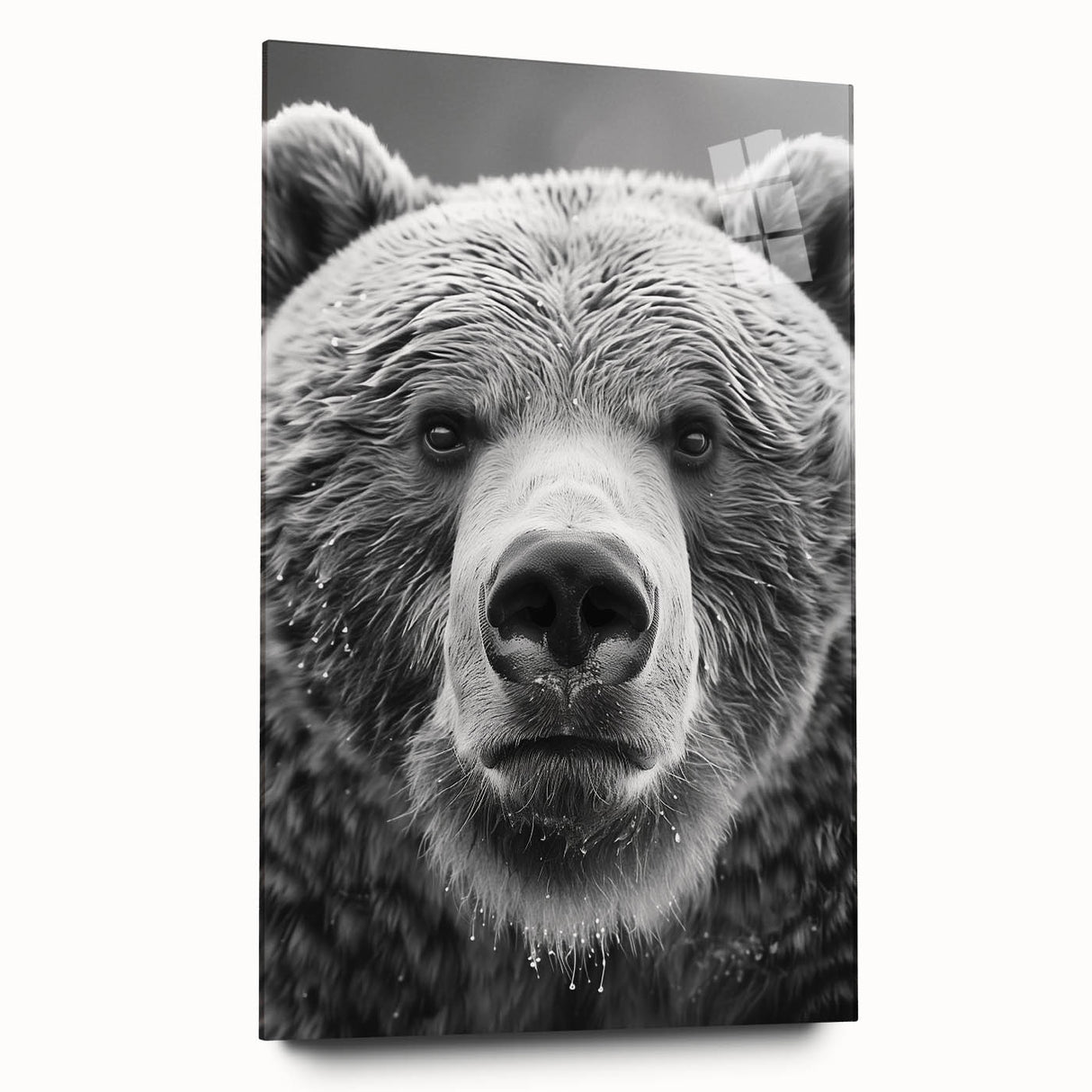 Close-up of a black bear wall art design, featuring an acrylic glass frame showcasing intricate details, perfect for nature enthusiasts and home decor.