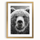 Framed black bear wall art featuring a gold mat, showcasing intricate details and a modern design. Ideal for nature lovers and home decor enthusiasts.