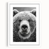 Black bear wall art collection framed with a white mat, showcasing a detailed design of a bear against a minimalist background, perfect for nature enthusiasts.