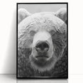 Framed black bear wall art design featuring a striking acrylic finish, showcasing the bear's detailed features and vibrant colors, perfect for wildlife enthusiasts.