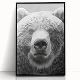 Framed black bear wall art design featuring a striking acrylic finish, showcasing the bear's detailed features and vibrant colors, perfect for wildlife enthusiasts.