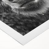 Black bear wall art design on rolled canvas, showcasing intricate details and rich colors, perfect for nature-themed home decor and wildlife enthusiasts.