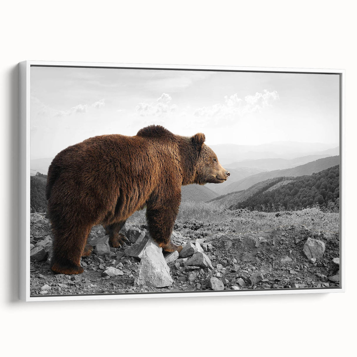 Framed canvas wall art featuring a brown bear design, showcased from a side view against a white backdrop, perfect for nature-themed decor. Ideal for wildlife enthusiasts looking to enhance their space with a touch of rustic charm.
