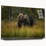 Brown bear-themed acrylic wall art collection displayed from a side view, showcasing its sleek design with visible mounting pins, perfect for nature enthusiasts.