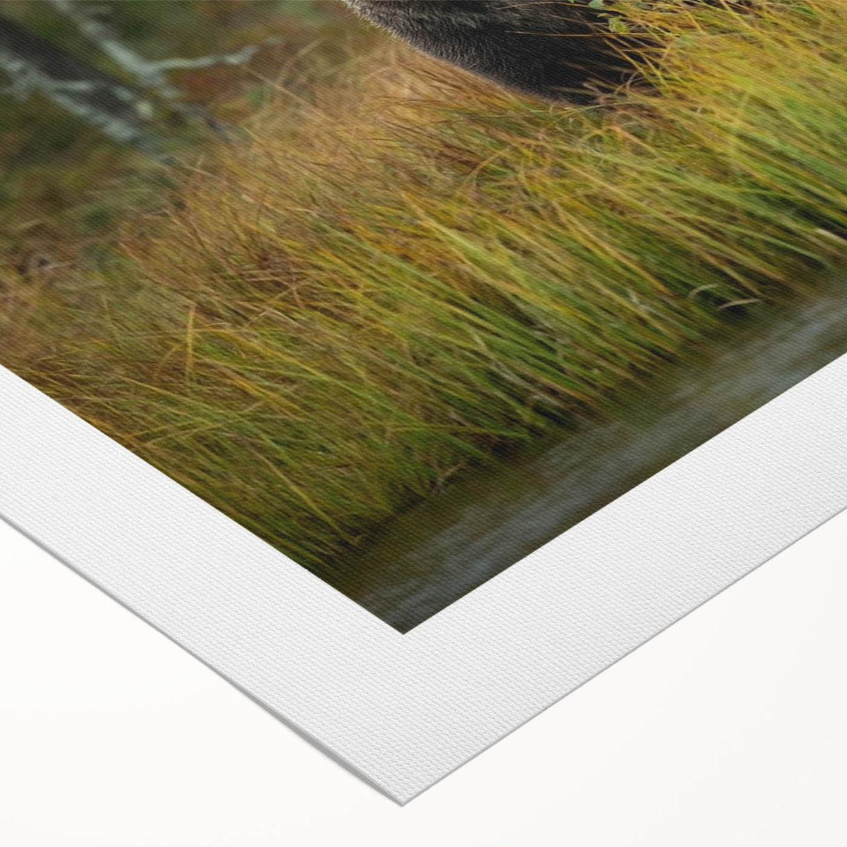 Brown bear wall art design on rolled canvas, showcasing intricate details and rich colors, perfect for nature-themed decor or wildlife enthusiasts.