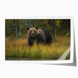 Brown bear wall art print showcasing a minimalist design featuring a detailed bear illustration against a soft beige background, perfect for nature-themed decor.