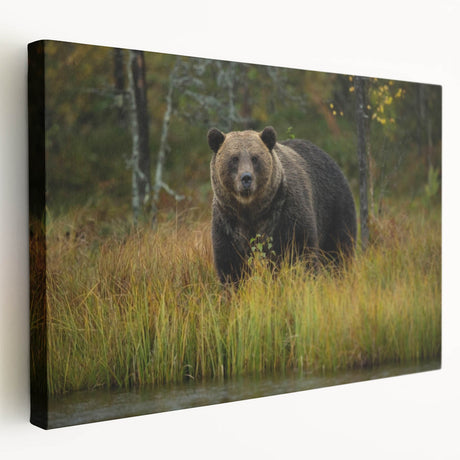 Stretched canvas wall art depicting a brown bear design in a natural landscape setting, showcasing rich colors and intricate details for a cozy home decor accent.