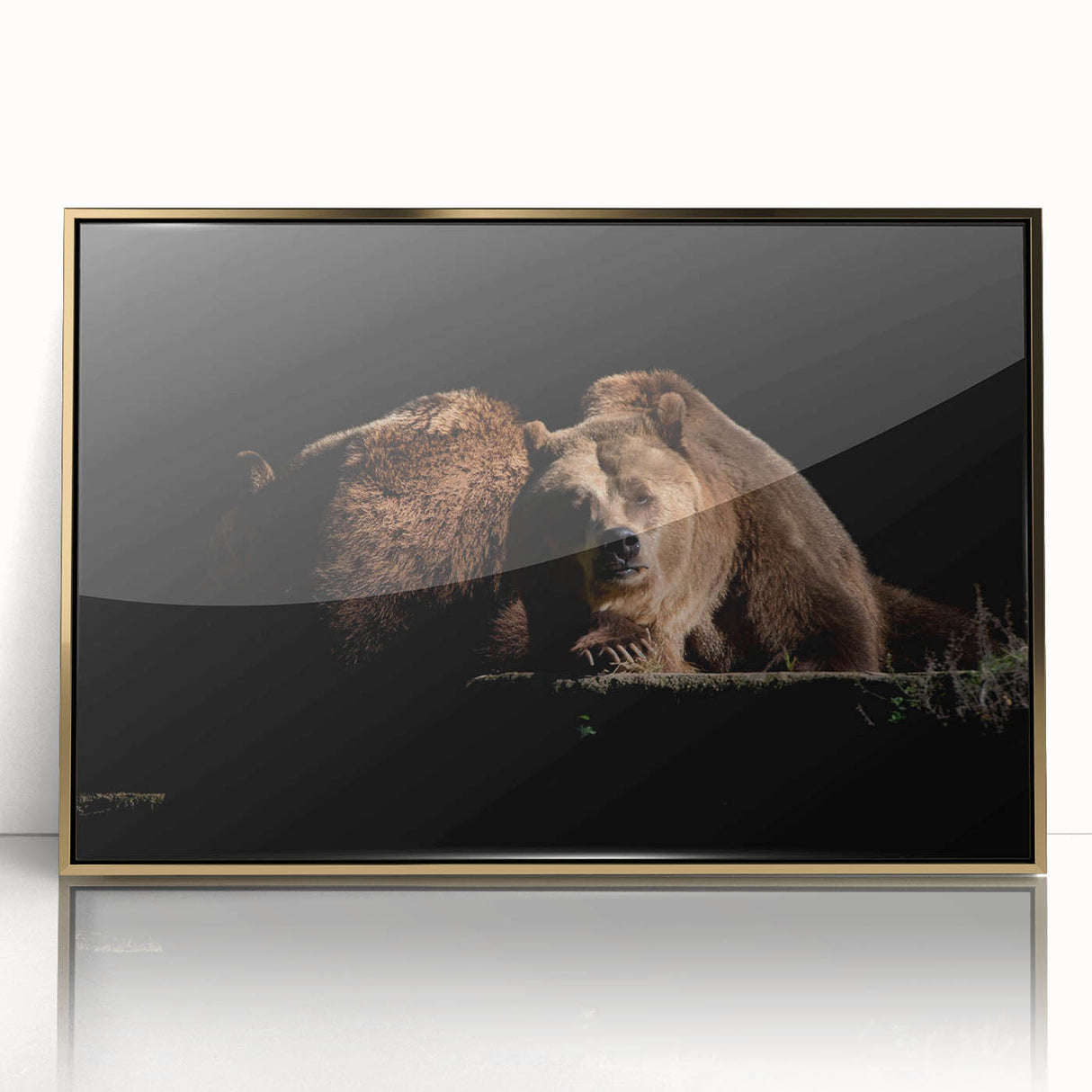 Framed wall art featuring a brown bear design with a gold-acrylic front, showcasing intricate details and a modern aesthetic, perfect for wildlife decor enthusiasts.