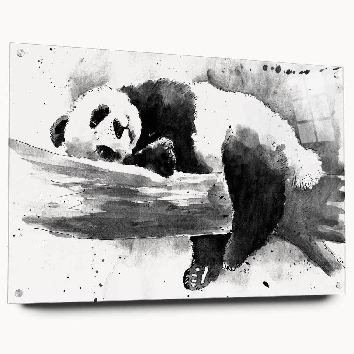 Panda bear wall art design printed on acrylic glass, showcasing a vibrant side view with decorative pins for easy hanging, perfect for modern home decor.