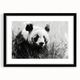 Panda bear wall art design in a black frame with mat, showcasing playful panda illustrations against a white background, ideal for children's decor and animal lovers.