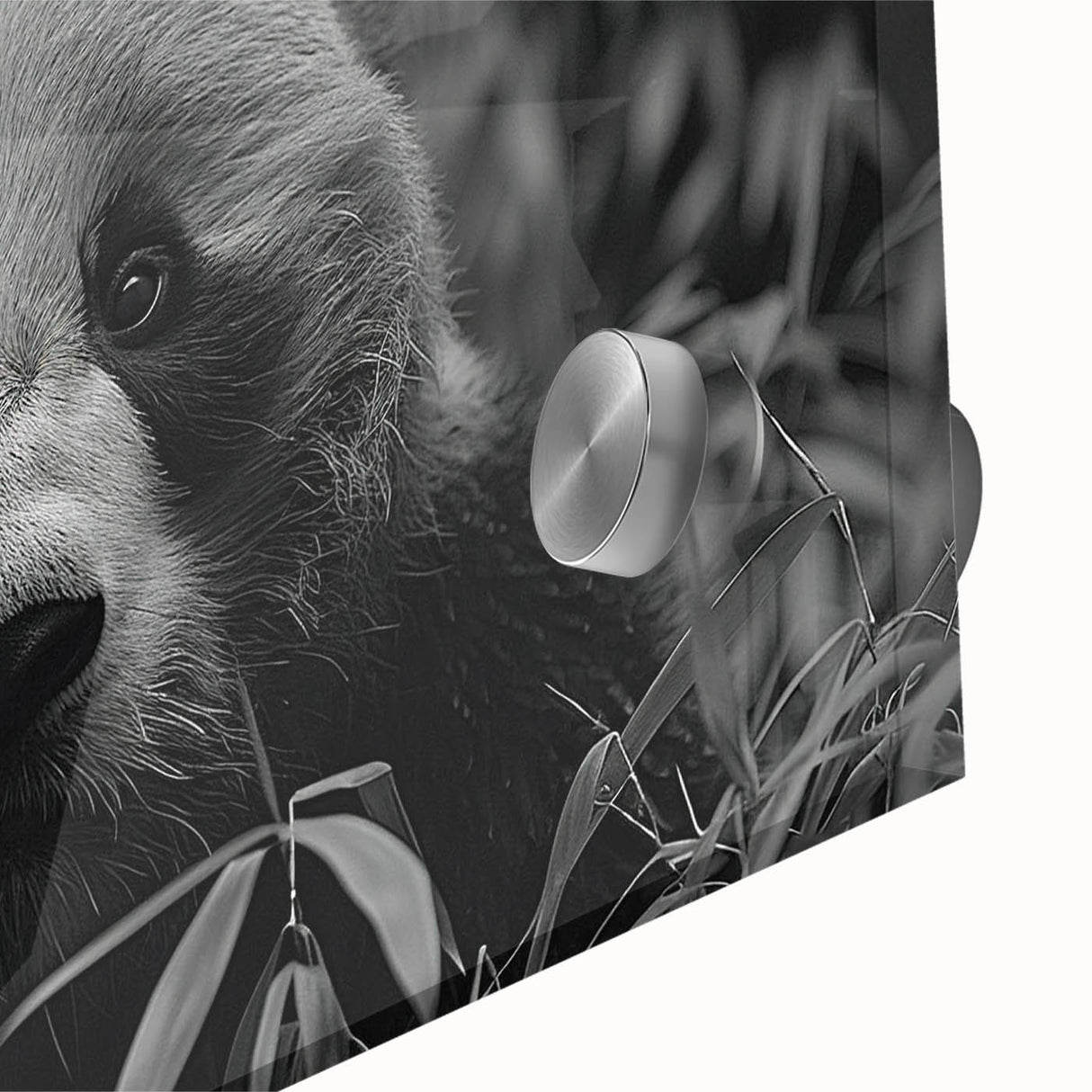 Close-up of a vibrant panda bear wall art design printed on acrylic glass, showcasing intricate details and bold colors for modern home decor. Perfect for animal lovers.