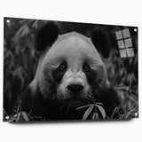 Acrylic glass wall art showcasing a whimsical panda bear design, highlighting vibrant colors and playful details, displayed with decorative pins for an engaging look.