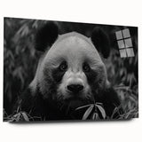 Side view of a panda bear wall art design printed on acrylic glass, showcasing vibrant colors and intricate details, perfect for contemporary home decor.