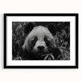 Black-framed wall art featuring a playful panda bear design, ideal for children's room decor, showcasing vibrant colors and a whimsical style.