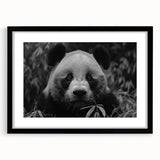 Black-framed wall art featuring a playful panda bear design, ideal for children's room decor, showcasing vibrant colors and a whimsical style.