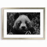 Panda bear wall art design in a silver frame with mat, showcasing a playful panda illustration on a white background, perfect for children's room decor.